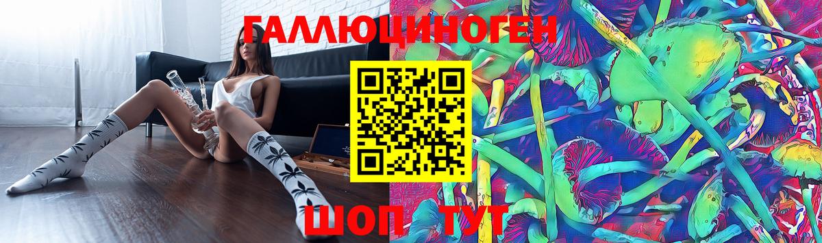 Галлюциногенные грибы Psilocybine cubensis Королёв