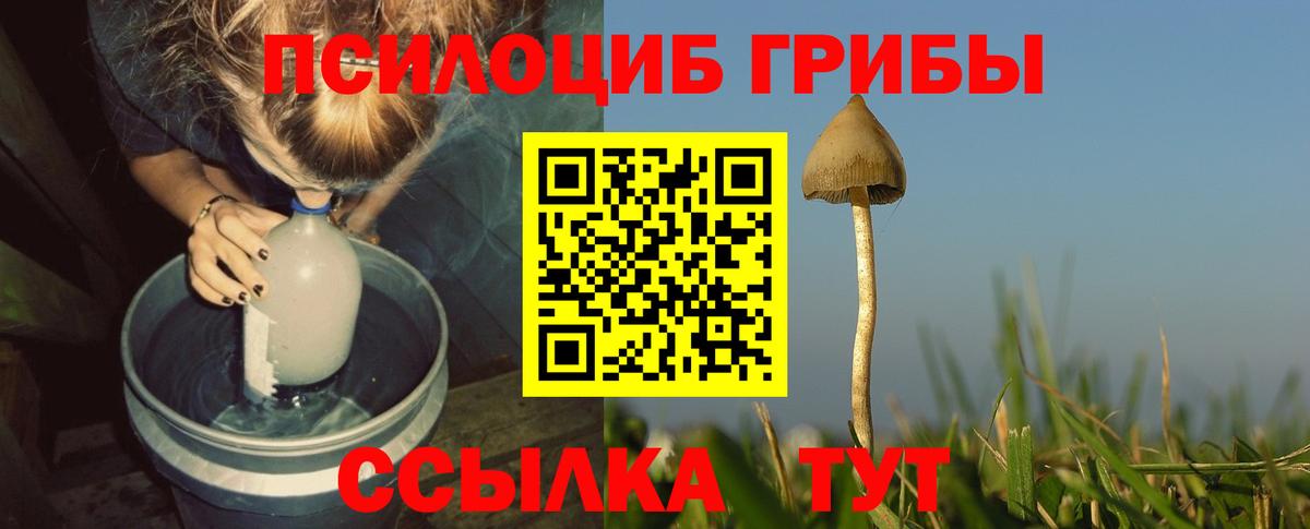 Галлюциногенные грибы Cubensis  Вход с VPN  Королёв 